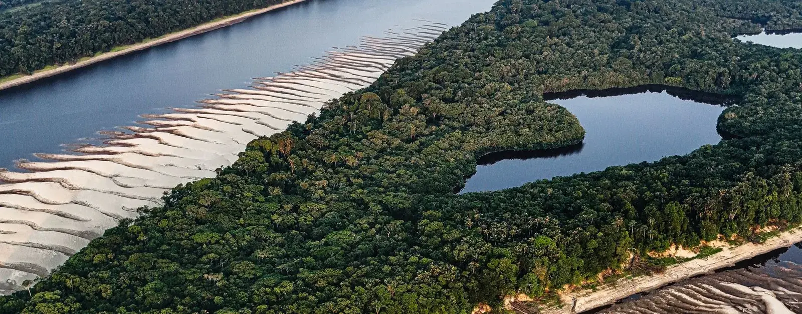Aerial view of an Amazon river bend cutting through dense green rainforest.