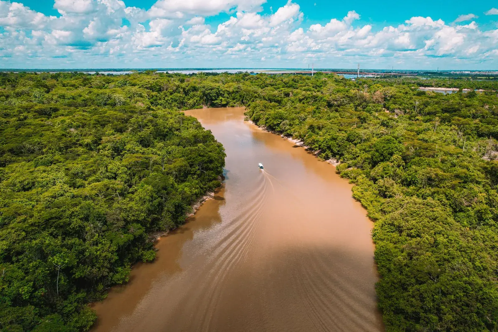 Barco navegando por el río Amazonas entre densa selva verde en el norte de Brasil.