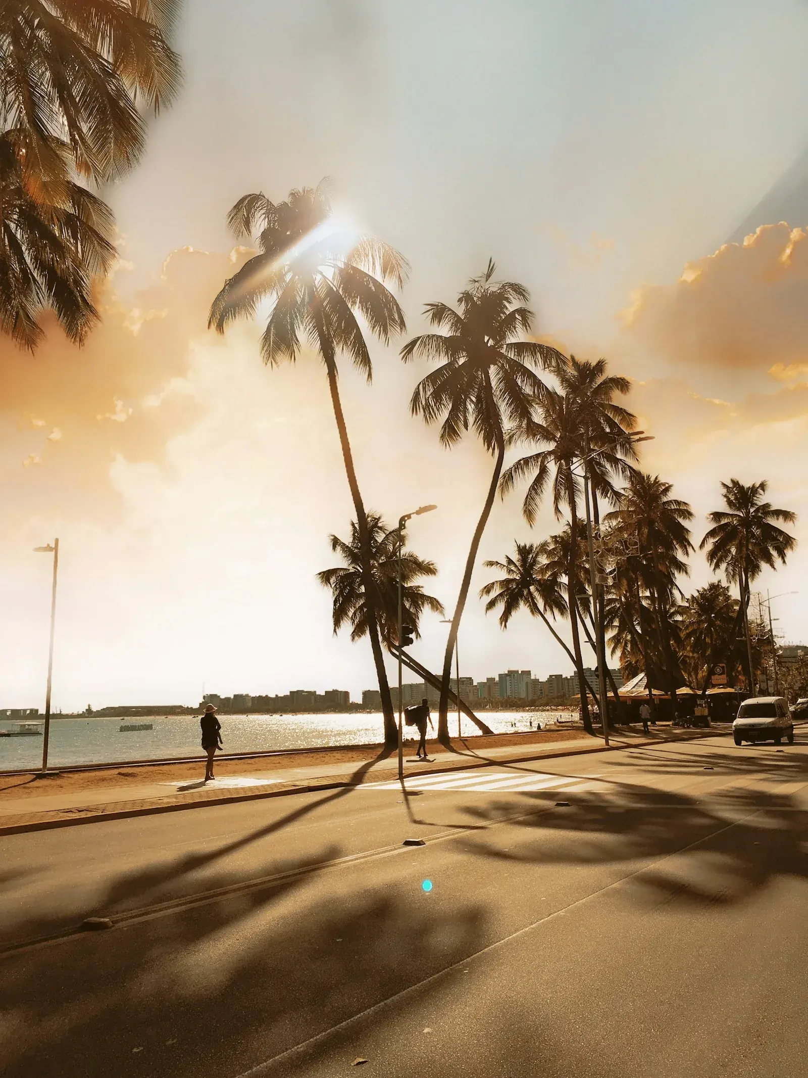 Palm-lined street scene in Maceió, echoing the calmer, walkable feel of the safer tourist neighborhoods.