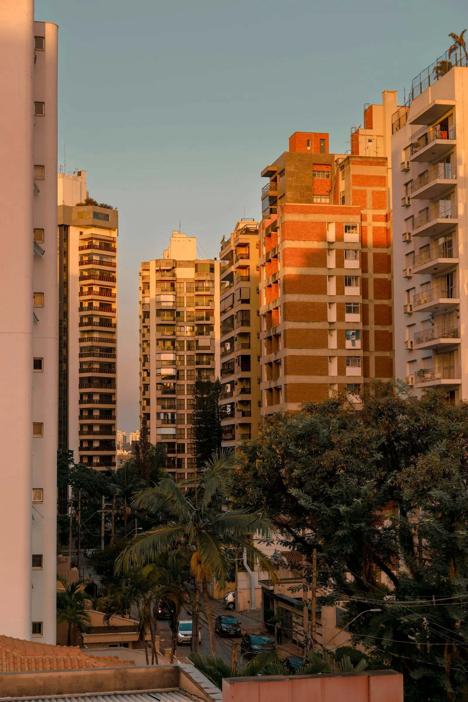 Skyline view of Campinas with high-rises and palms, matching the article's focus on the city's central districts and urban layout.